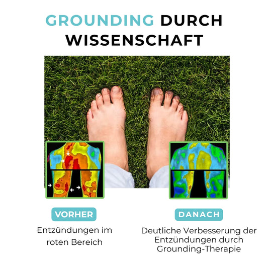 Detoxia™ Ground