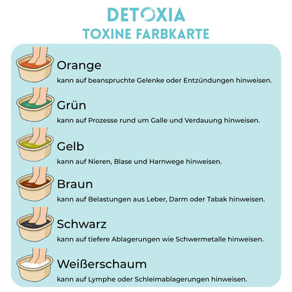 Detoxia™ Revive - Ionisches Detox Fußbad